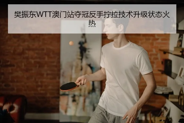 樊振东WTT澳门站夺冠反手拧拉技术升级状态火热