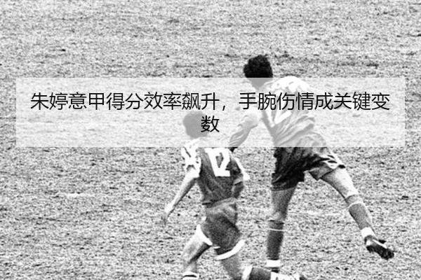 zhu-ting-yi-jia-de-fen-xiao-lv-biao-sheng-shou-wan-shang-qing-cheng-guan-jian-bian-shu-2-851.jpg