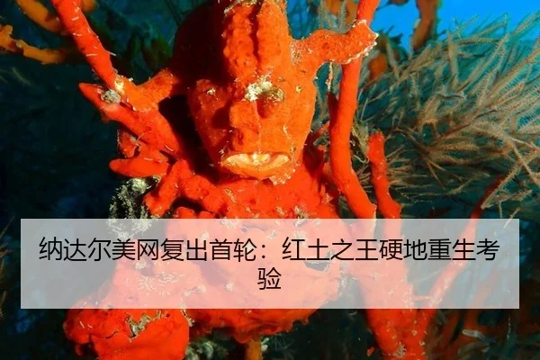 na-da-er-mei-wang-fu-chu-shou-lun-hong-tu-zhi-wang-ying-di-chong-sheng-kao-yan-3-778.jpg
