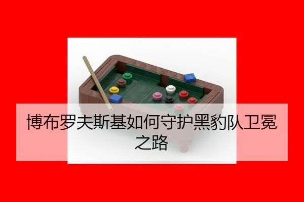 bo-bu-luo-fu-si-ji-ru-he-shou-hu-hei-bao-dui-wei-mian-zhi-lu-2-782.jpg