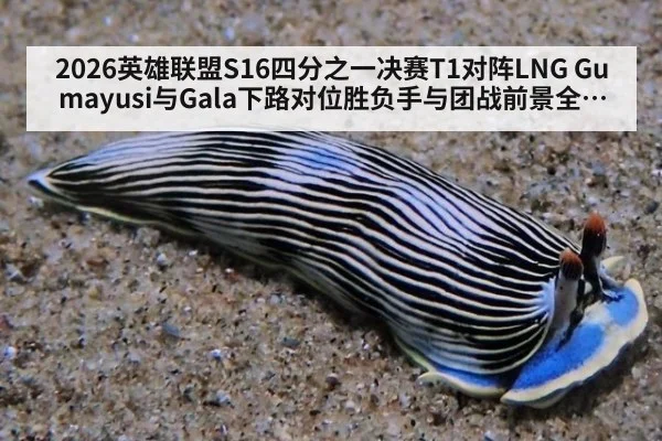 2026英雄联盟S16四分之一决赛T1对阵LNG Gumayusi与Gala下路对位胜负手与团战前景全解析